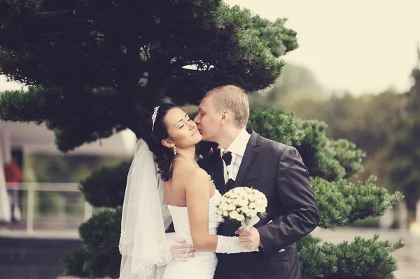 Sposo e sposo avendo un momento romantico sul loro matrimonio — Foto Stock