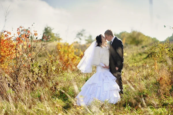 Nevěsta a ženich s romantickým posezením na jejich svatbě — Stock fotografie