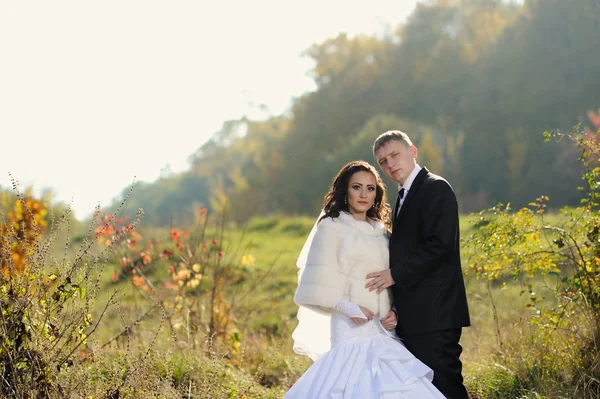 Braut und Bräutigam bei einem romantischen Moment auf ihrer Hochzeit — Stockfoto