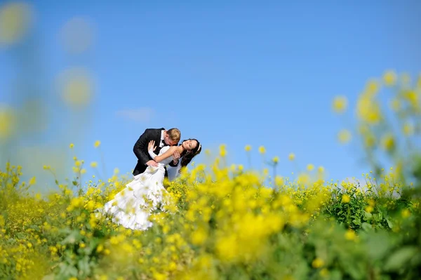 Bride and groom having a romantic moment on their wedding — Stock Photo, Image