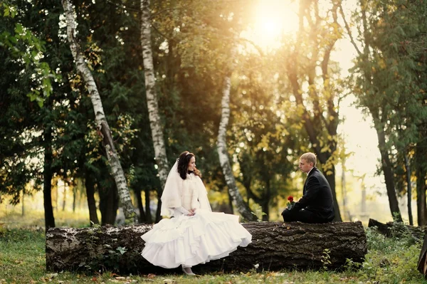 Bride and groom having a romantic moment on their wedding — Stock Photo, Image