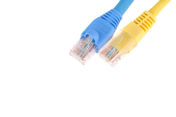 Cabos de rede de computador isolados em fundo branco — Fotografia de Stock