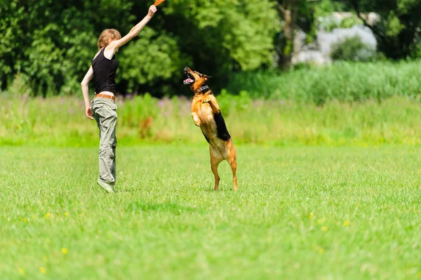 Gadis bermain dengan anjing — Stok Foto