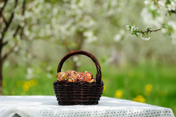 Paskalya yumurtaları masanın üzerine sepet — Stok fotoğraf