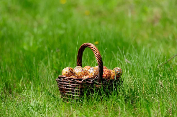 イースターのバスケットは庭の緑の芝生に卵します。 — ストック写真