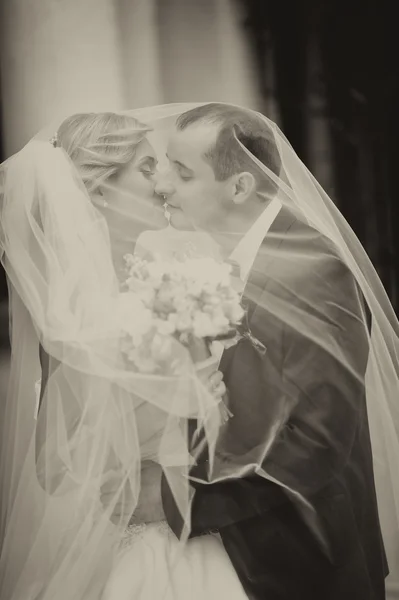 Noiva feliz e noivo em seu casamento — Fotografia de Stock