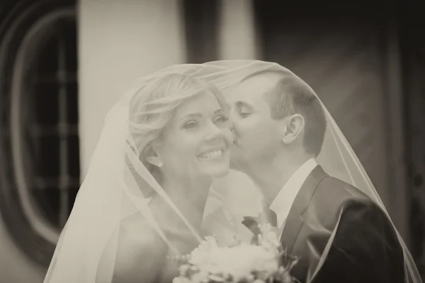 Feliz novia y novio en su boda — Foto de Stock