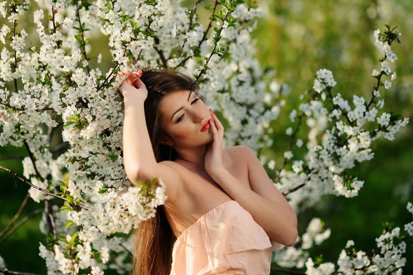 Flickan i den blommande trädgården — Stockfoto