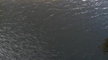 Yukarıdaki coxed dört kürek takımı