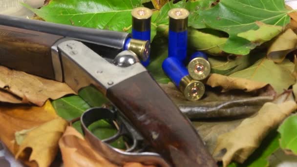 Mise au point sur fusil de chasse, obus et feuilles d'automne — Video