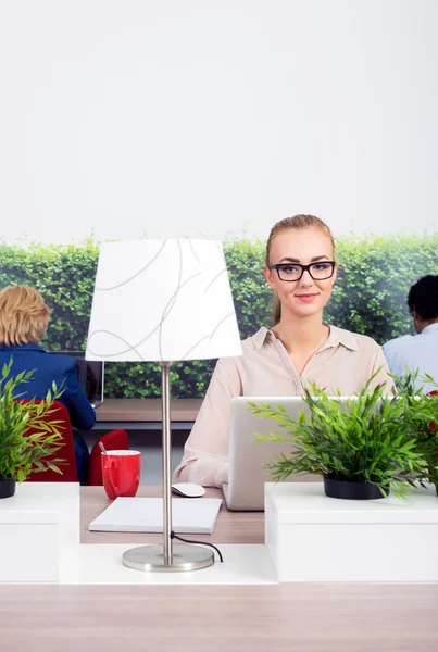 Beautiful Environmentalist In Office — Stock Photo, Image