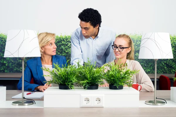 Environmentalists Discussing In Office — Stock Photo, Image