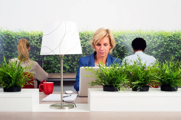 Sustainable Hot Desking — Stock Photo, Image