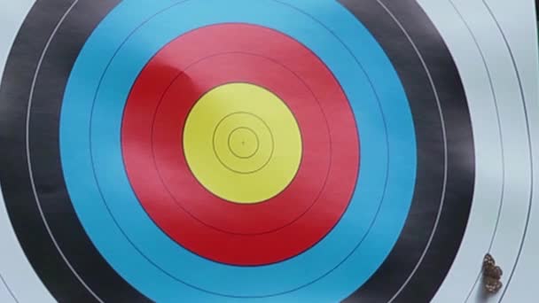 Archery — Stock Video