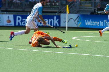 hokey Dünya Kupası 2014
