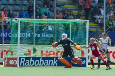 hokey Dünya Kupası 2014