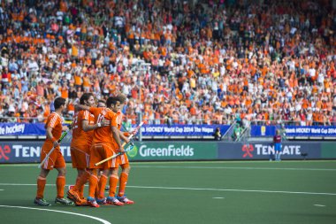 hokey Dünya Kupası 2014