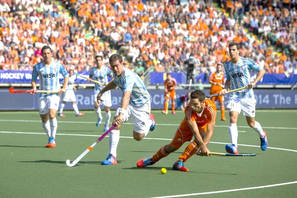 Hockey world cup 2014 — Stockfoto