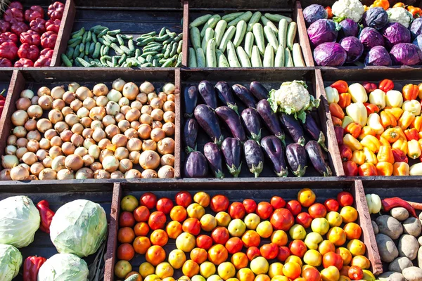 Collectie van groenten — Stockfoto