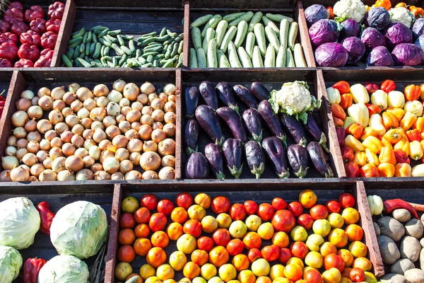 Collection of vegetables — Stock Photo, Image