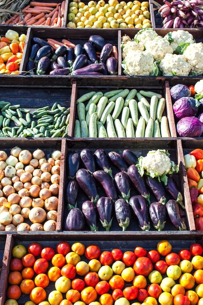Збір овочів — стокове фото