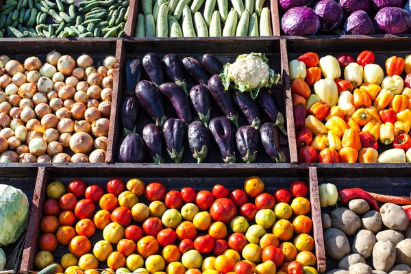 Coleta de verduras — Fotografia de Stock