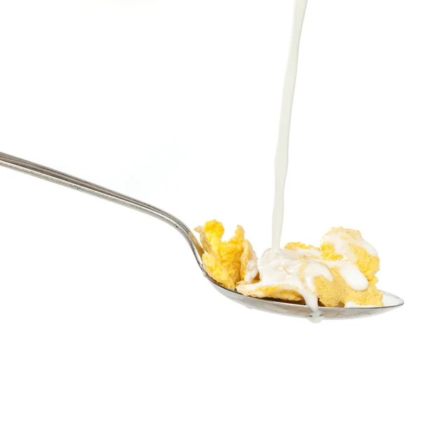 Fresh cereal cornflakes and milk — Stock Photo, Image