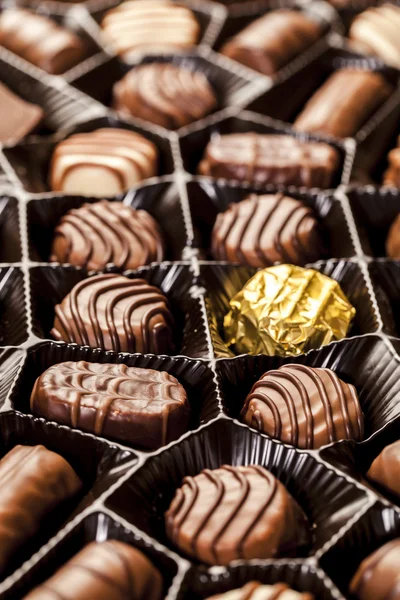 Close up van heerlijke chocolade pralines — Stockfoto