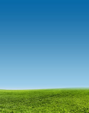 yeşil çim alanı ve açık mavi gökyüzü görüntü