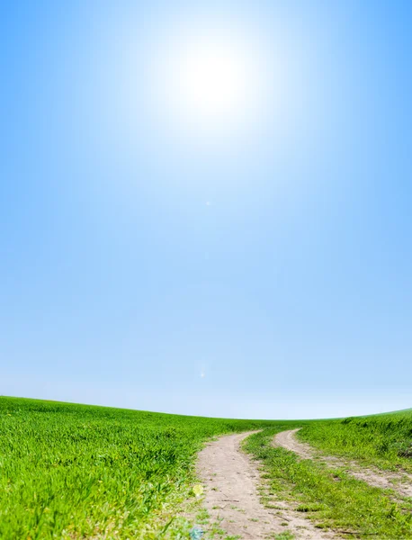 Imagem do campo de grama verde e céu azul claro — Fotografia de Stock