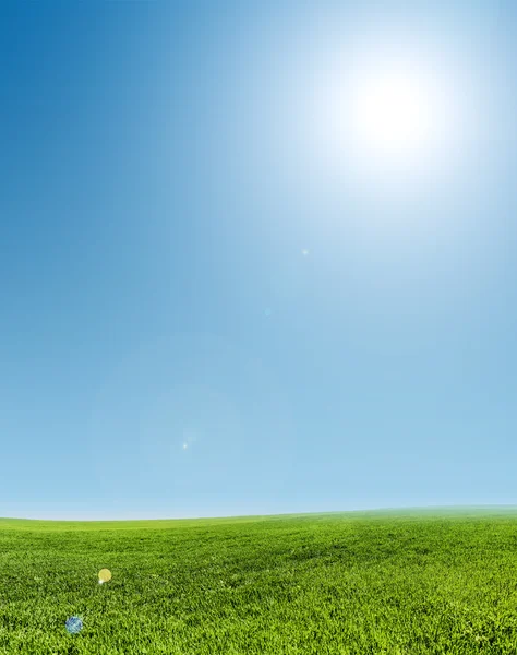 Imagem do campo de grama verde e céu azul claro — Fotografia de Stock