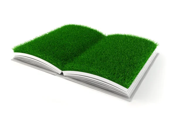 Livre ouvert 3d avec papier d'herbe — Photo