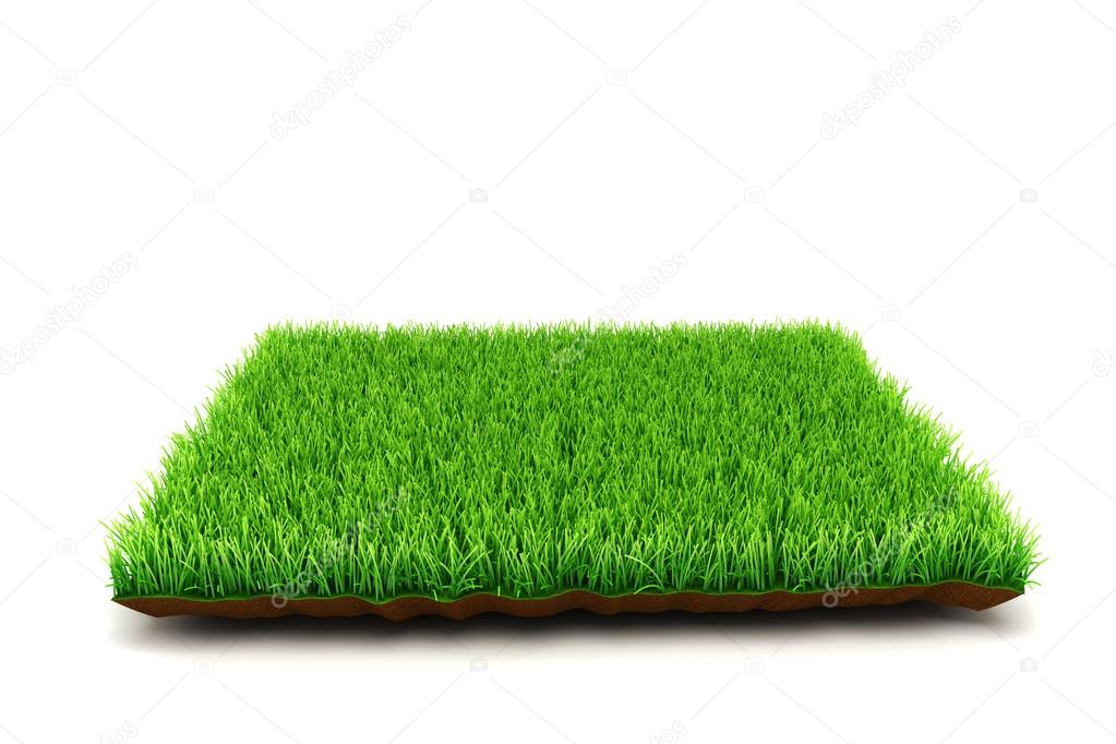 3d fresh grreen grass background