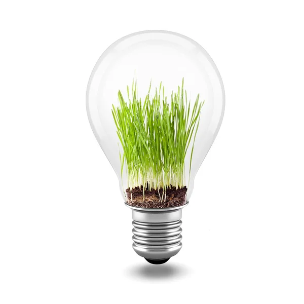 3d close up image of green grass inside a light bulb — Stock Photo, Image