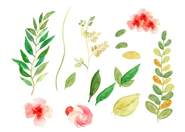 Hand Made Watercolor Floral Illustration Set Green Leaf Branches Collection — Stock Photo, Image