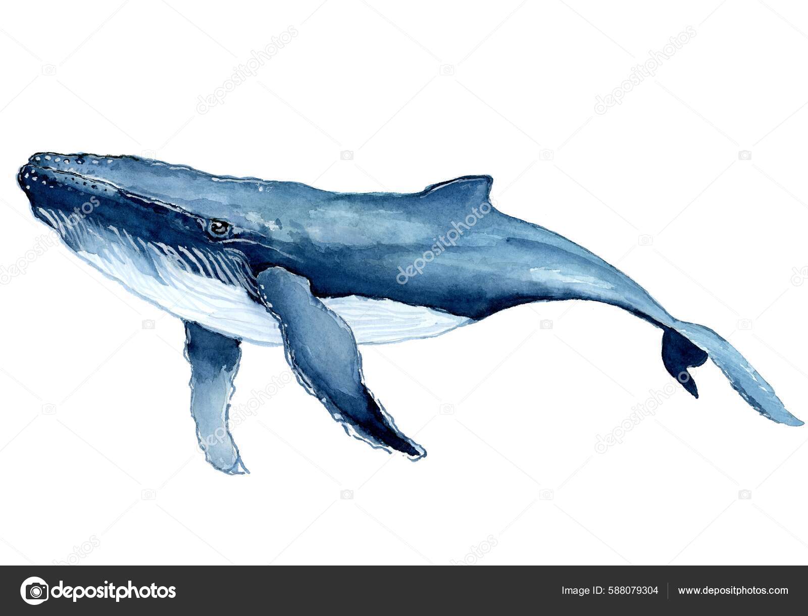 Bluewhale ai extension (87) 사진