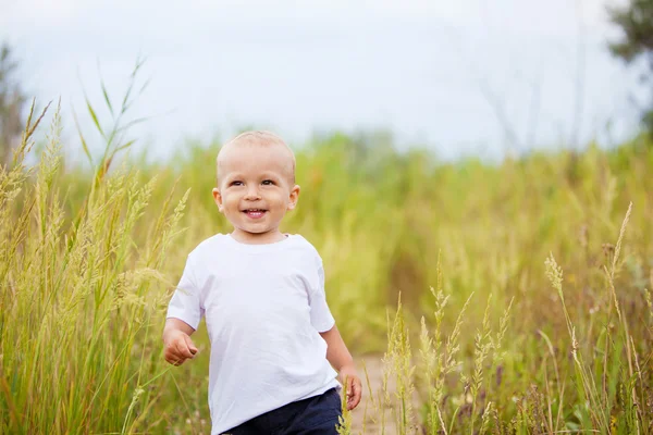 Toddler in the field — Stock Photo, Image