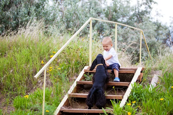 Toddler and dog — Stock Photo, Image