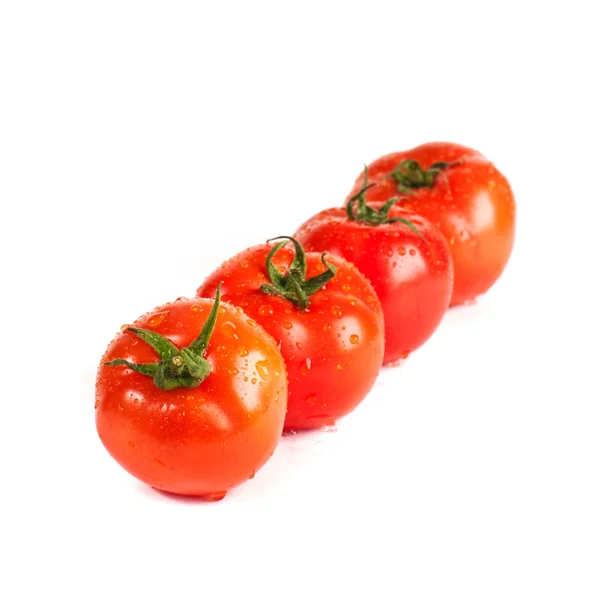 Tomatos — Stock Photo, Image