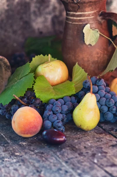 Verschiedene frische Früchte — Stockfoto