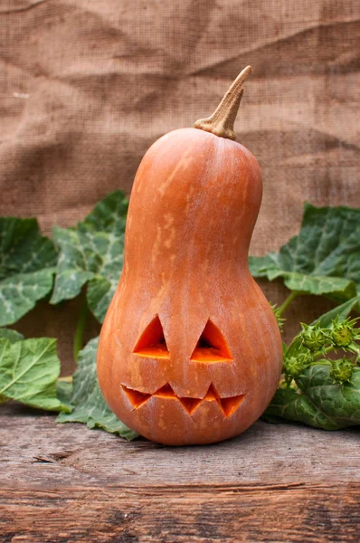 Halloween pumpkin — Stock Photo, Image