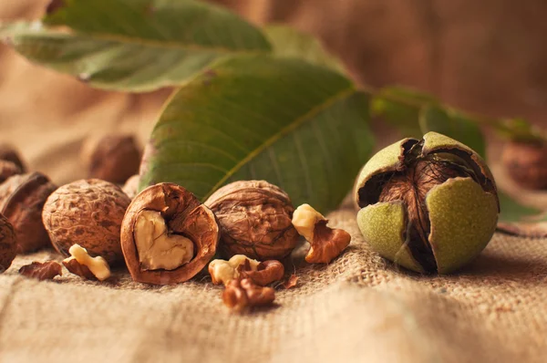 Apfel auf dem Tisch — Stockfoto