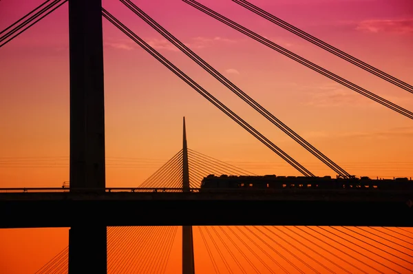 Train over the bridge — Stock Photo, Image