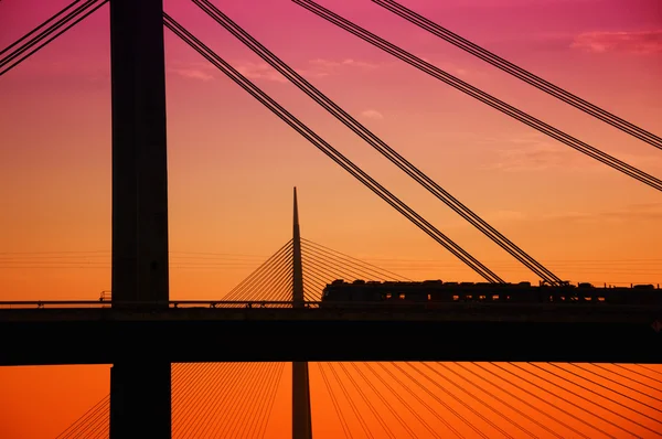 Zug über die Brücke — Stockfoto