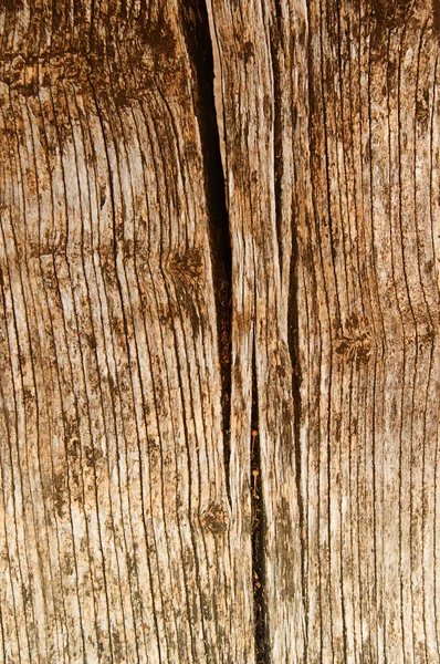 Wood texture — Stock Photo, Image