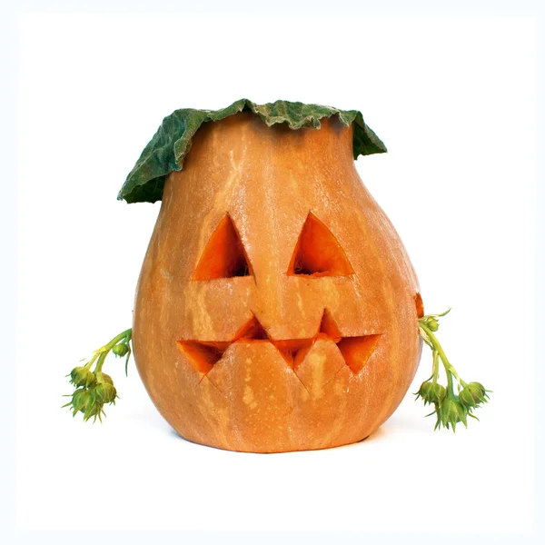 Halloween pumpkin — Stock Photo, Image