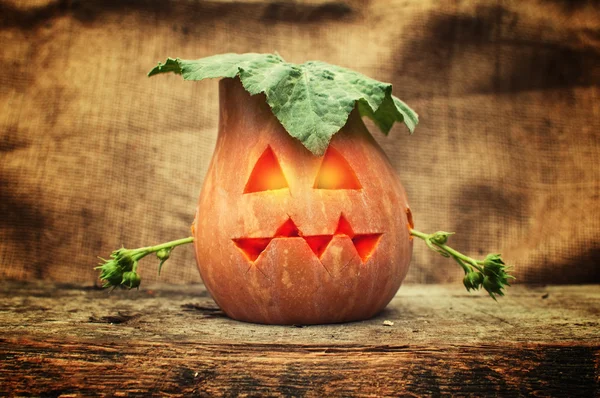 Halloween pumpkin — Stock Photo, Image