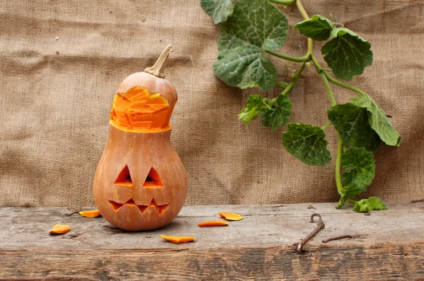 Halloween pumpkin — Stock Photo, Image