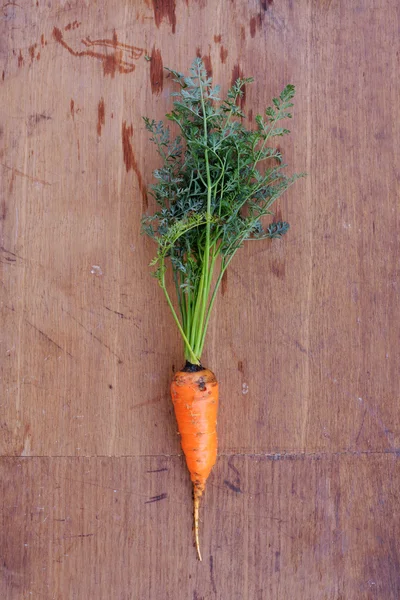 Zanahoria sobre la mesa — Foto de Stock