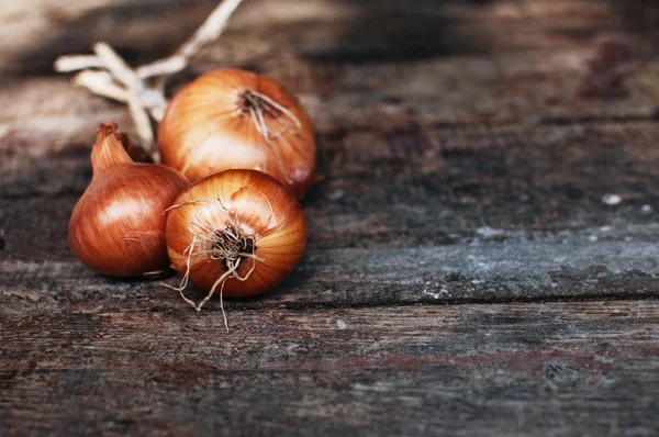 Bunch of onions — Stock Photo, Image